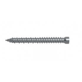 Vis sans tête Torx Fischer - ffsz 7,5x182 - pour châssis de fenêtre
